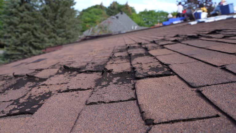 Best Storm Damage Roof Repair  in Methuen Town, MA